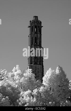 Monastère ruiné Limbourg, Bad Dürkheim, Rhénanie-Palatinat, Allemagne, Europe Banque D'Images