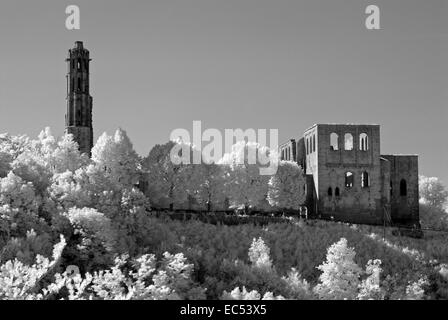 Monastère ruiné Limbourg, Bad Dürkheim, Rhénanie-Palatinat, Allemagne, Europe Banque D'Images