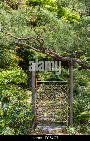 Temple zen de Koto-in, Daitoku-ji, Kyoto, Japon. Une porte à thé délicatement tissée en bambou mène à une maison de thé dans le jardin Banque D'Images