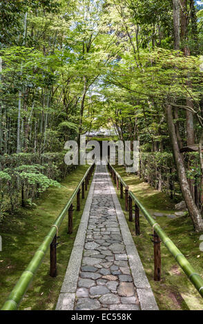 Temple zen Koto-in, Daitoku-ji, Kyoto, Japon, au printemps. Le chemin d'entrée pavé mène à travers un bosquet de bambous Banque D'Images