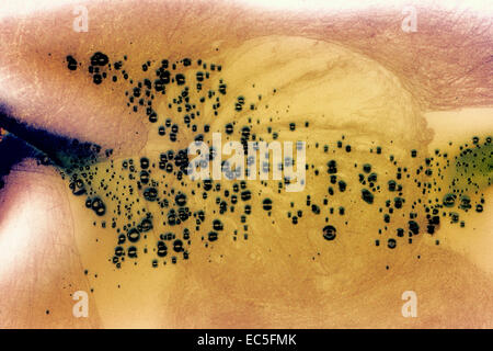 Scan d'une diapositive couleur brûlée Banque D'Images