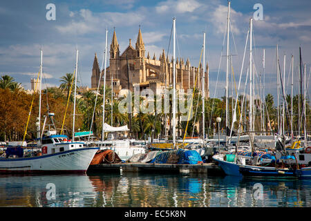Bateaux dans la marina ci-dessous cathédrale de Palma de Mallorca, Espagne Banque D'Images