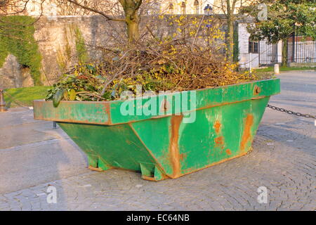 Passer le récipient avec des branches d'arbre sur la chaussée dans un parc Banque D'Images