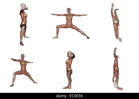 6 Autre vue de warrior yoga pose pour femme avec le muscle visible dans fond blanc Banque D'Images