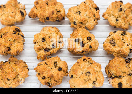 Rock les gâteaux, un thé traditionnel anglais, traiter des petits gâteaux aux fruits fait avec les courants ou les raisins secs, sur une grille de refroidissement Banque D'Images