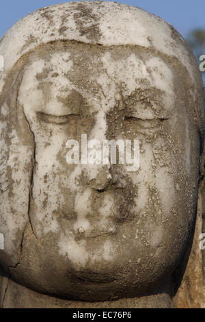 Tête de Bouddha Statue à Polonnaruwa, Sri Lanka Banque D'Images