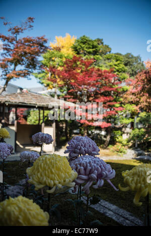 Culte garden à Kyoto, au Japon. Banque D'Images