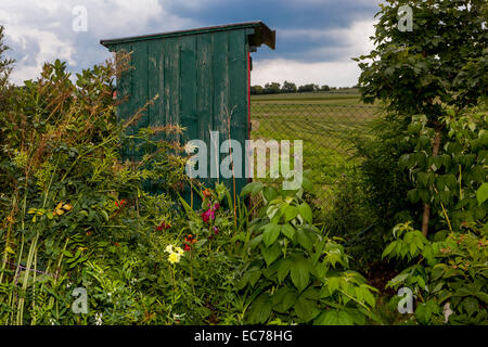 Extérieur de jardin rural, maison de toilette cachée dans les plantes Banque D'Images