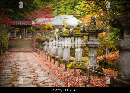 Lanternes en pierre ronde à Nikko, Japon. Banque D'Images