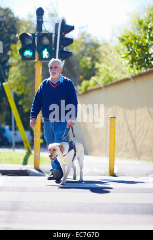 L'homme ayant une déficience visuelle de traverser une rue avec son chien-guide Banque D'Images