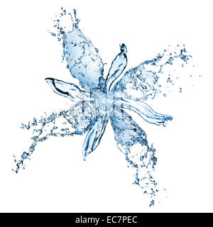 Les projections d'eau de fleur isolated on white Banque D'Images