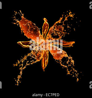 Les projections d'eau de fleur isolated on black Banque D'Images