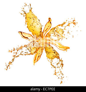 Les projections d'eau de fleur isolated on white Banque D'Images