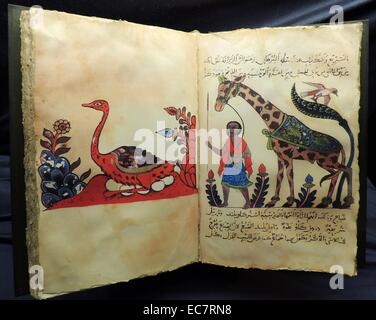 La cartographie et la géographie. Les progrès de la zoologie, la botanique, l'astronomie et de navigation et les informations rapportées par les commerçants, les scientifiques, les pèlerins et les explorateurs ont donné lieu à des avancées majeures dans la géographie et les savants musulmans ont permis d'élaborer des cartes très précises et globes terrestres. Ces cartes ont posé les bases de la dans le monde entier voyages d'explorateurs européens. Banque D'Images