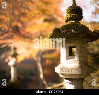 Lanterne japonaise en paramètre d'automne. Banque D'Images