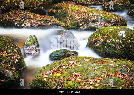 La couleur en automne sur la rivière rochers de Becky Falls, Manaton, Dartmoor, dans le Devon, Angleterre Banque D'Images