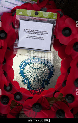 Close-up d'une couronne de pavot et son dévouement. Banque D'Images