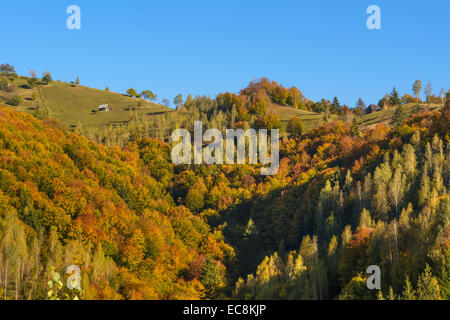 Paysage de campagne dans un village roumain à la nourriture de Piatra Craiului Banque D'Images