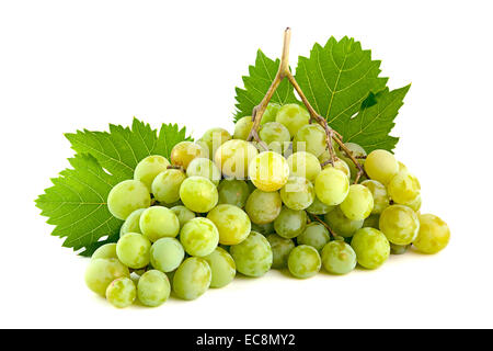 Fruit de raisin vert isolated on white Banque D'Images