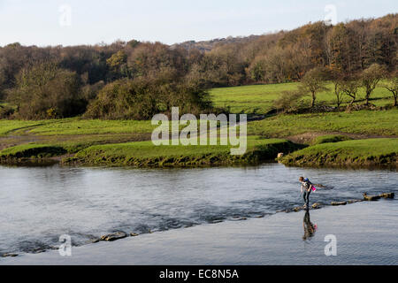 Boy crossing river sur Ogmore, stepping stones, Pays de Galles, Royaume-Uni Banque D'Images