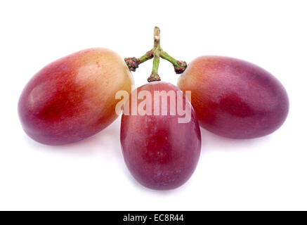 Fruit de raisin Violet isolated on white Banque D'Images