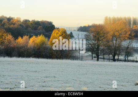 Frosty matin à Hogganfield Park à Glasgow, Ecosse Banque D'Images
