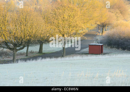 Frost matin à Hogganfield Park à Glasgow, Ecosse Banque D'Images