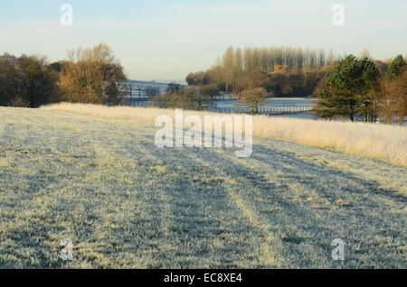 Frost matin à Hogganfield Park à Glasgow, Ecosse Banque D'Images