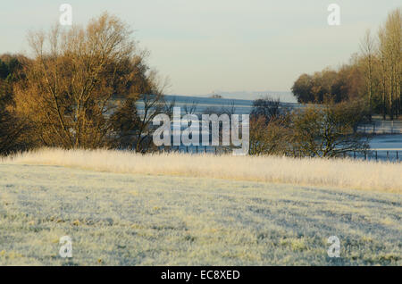 Frost matin à Hogganfield Park à Glasgow, Ecosse Banque D'Images