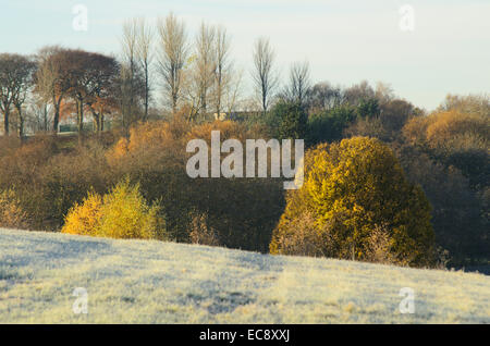 Frost matin à Hogganfield Park à Glasgow, Ecosse Banque D'Images