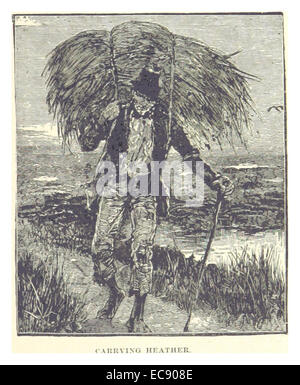 Illustration tirée de l'œuvre de French en 1891, représentant des individus portant de la bruyère. Cela peut montrer la vie rurale ou les pratiques agricoles traditionnelles au XIXe siècle. Banque D'Images