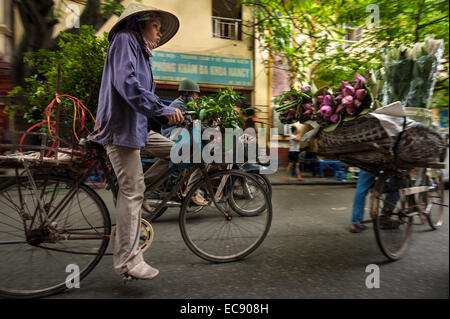 Jardin sur roues, Hanoi Banque D'Images