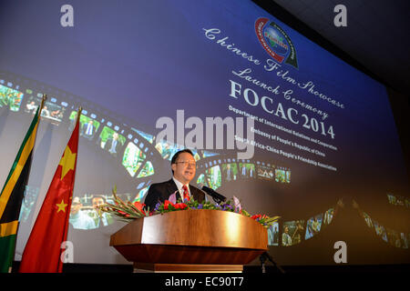 Pretoria, Afrique du Sud. Dec 10, 2014. Tian Xuejun, ambassadeur de Chine en Afrique du Sud, s'adresse à la cérémonie de lancement de la vitrine du cinéma chinois à Pretoria, Afrique du Sud, le 10 décembre 2014. La cérémonie de lancement de la vitrine du cinéma chinois a eu lieu ici mercredi. Environ 10 films chinois sont prévus pour être montré à Pretoria et Johannesburg dans les mois suivants. © Zhai Jianlan/Xinhua/Alamy Live News Banque D'Images