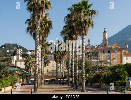 Beach Parade de Menton au French Rivera, Côte d'Azur, France Banque D'Images