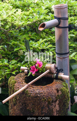 Funda-in, temple zen, Kyoto Tofuku-ji, Japon. Un bassin d'eau en pierre ou tsukubai dans le jardin Banque D'Images