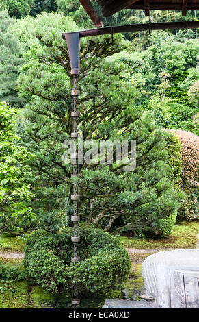 Funda-in, temple zen, Kyoto Tofuku-ji, Japon. Les chaînes traditionnelles japonais 'rain' (kusari-doi) utilisé à la place de tuyaux Banque D'Images