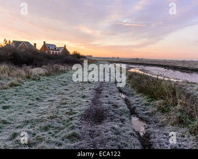 Représentant une scène de la campagne couverte de givre river bank avec l'alimentation des mouettes à marée basse avec le soleil se levant à l'arrière-plan. Banque D'Images