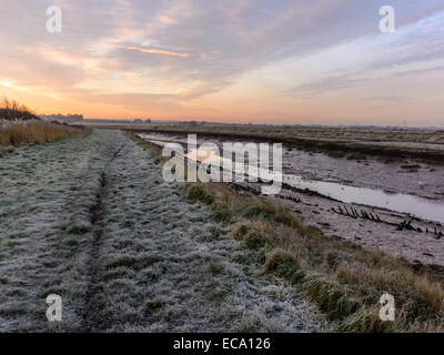 Représentant une scène de la campagne couverte de givre river bank avec l'alimentation des mouettes à marée basse avec le soleil se levant à l'arrière-plan. Banque D'Images