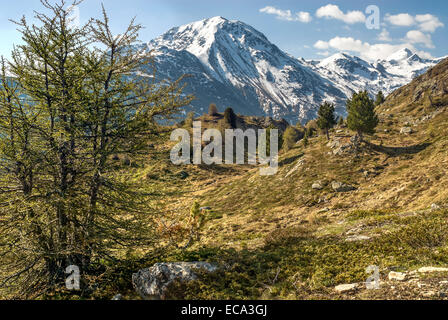 Voir à la Glacier Morteratsch, Engadine, Suisse | Aussicht auf den Gletscher Morteratsch, Engadine, Schweiz Banque D'Images