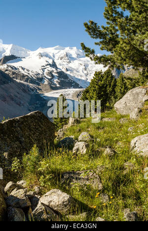 Voir à la Glacier Morteratsch, Engadine, Suisse | Aussicht auf den Gletscher Morteratsch, Engadine, Schweiz Banque D'Images