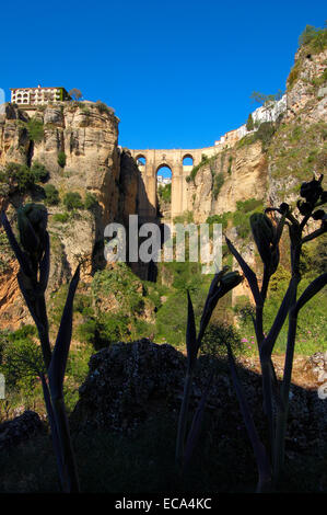 Puente Nuevo, nouveau pont, enjambant les gorges du Tage, Ronda, Málaga province, Andalusia, Spain, Europe Banque D'Images