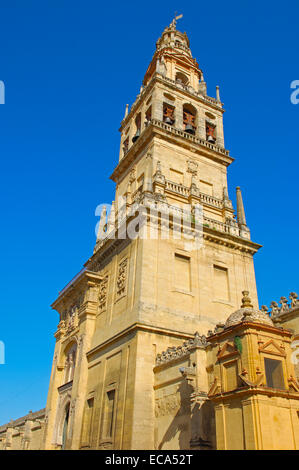 Tour minaret de la Grande Mosquée, Cordoue, Andalousie, Espagne, Europe Banque D'Images