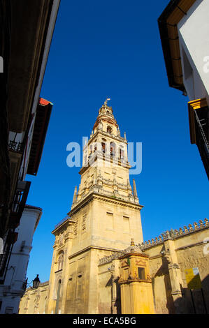 Tour minaret de la Grande Mosquée, Cordoue, Andalousie, Espagne, Europe Banque D'Images