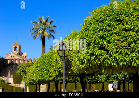 Les jardins de l'Alcázar de los Reyes Cristianos, l'Alcazar des Rois Catholiques, Cordoue, Andalousie, Espagne, Europe Banque D'Images