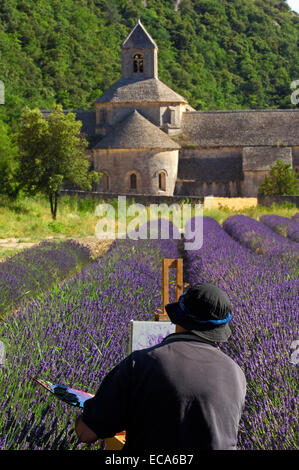 La peinture de l'artiste en champ de lavande à l'Abbaye Notre-dame de Sénanque, Abbaye de Sénanque, Gordes, Provence, France, Europe Banque D'Images