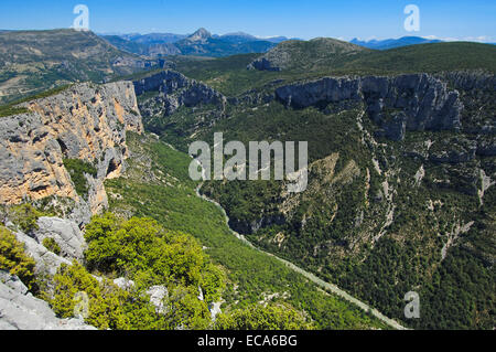 Canyon du Verdon, le Parc Naturel Régional du Verdon, Gorges du Verdon, Provence, Provence-Alpes-Côte-d'Azur, France, Europe Banque D'Images