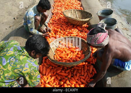 Carotte Carotte frais de nettoyage d'agriculteurs produisent à Dhaka. Carotte Banque D'Images