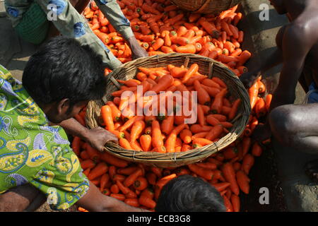 Carotte Carotte frais de nettoyage d'agriculteurs produisent à Dhaka. Carotte Banque D'Images