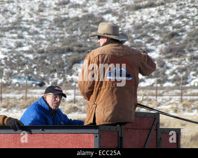 Les conducteurs de traîneaux offrent un programme éducatif de qualité pendant le trajet. Le personnel de l'entrepreneur travaille en étroite collaboration avec le National Elk Refuge, personnel des services aux visiteurs de se tenir au courant des sujets relatifs à la gestion de refuge. Banque D'Images