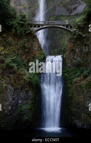 Multnomah Falls, la plus haute cascade dans l'Oregon, est l'une des nombreuses cascades le long de la Columbia River Gorge, Oregon. Banque D'Images